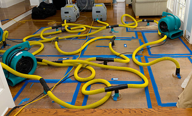 Professional Water Damage Restoration technician working in Vernon Hills, IL